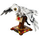LEGO Harry Potter "Букля" 75979
